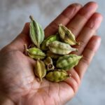 12 Brilliant Ways to Use Cornmeal in Your Garden