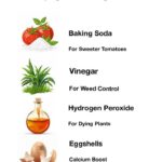 4 Smoothies to Enjoy with Different Kinds of Nuts: Nutty and Delicious Recipes