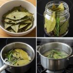 Grow Cardamom at Home in a Container | Step-by-Step Guide