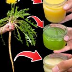 The Only Guide You Need for When to Plant Vegetables and Why