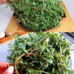 🌿 7 Vegetables You Can Buy Once and Regrow Forever: A Detailed Guide to Perpetual Harvests
