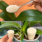 Bread in Just 10 Minutes, No Oven Needed: The Ultimate Homemade Recipe