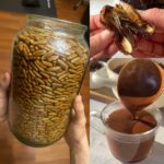 🌿 Grow Infinite Ginger at Home — Even Make It Bloom! (Your Complete Step-by-Step Guide)