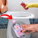 Dishwasher Tablet: A Brilliant Tip to Clean Your Oven and Make It Look Like New Again