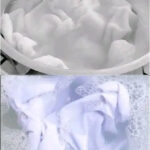 Immediate Action to Quickly Unclog Drains and Eliminate Persistent Odors