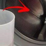 Throw a Clove of Garlic in Your Toilet: Grandma’s Incredible Trick That Solves This Terrible Problem Overnight
