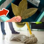 Throw a Clove of Garlic in Your Toilet: Grandma’s Incredible Trick That Solves This Terrible Problem Overnight