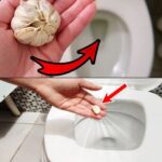 🌿The (Sadly Secret) Trick with 3 Leaves in the Wiping Water💥(AMAZING Trick You Need to Know!)