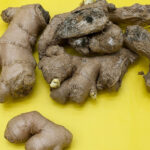 Always Place Your Fence with the Front Facing Your Neighbor: The Ultimate Guide to Fence Orientation, Neighborly Harmony, and Property Value