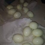 Why the Cooking‑Time Advice Varied So Much