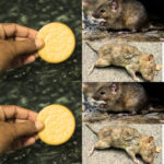 Why Cracked Caulking in Bathrooms Happens