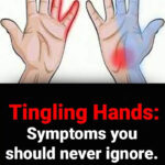 Transform Your Sausage Cooking: A Revolutionary Technique for Unmatched Flavor and Juiciness