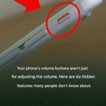 My Friend’s Grandparents Passed and He Grabbed These — But Had No Idea What They Were