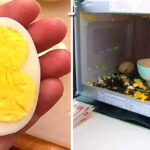 Your Fist, Your Personality: How That Simple Gesture Speaks Volumes