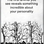 Unearthing New England’s Forgotten Underground Garbage Cans: A Journey into the Past