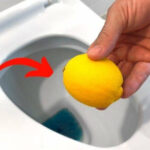 Ginger Water: The Healthiest Drink to Burn All Abdominal Fat, Neck, Arms, Back, and Thighs!