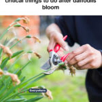 Here’s What the Little Panel on the Front of the Car’s Bumper Is For: A Comprehensive Exploration