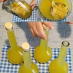 The Concept of Infused Detox Water