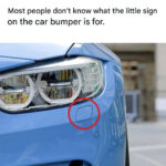 Unlocking the Secret to Everlasting Blooms: How a Mysterious Red Liquid Makes Your Peace Lily Bloom for Up to 10 Years Straight