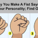 seven foods you should avoid reheating—