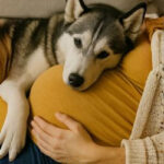 NEVER STORE THESE ITEMS UNDER THE KITCHEN SINK!
