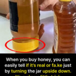 8 Devices That Consume the Most Electricity (and How to Cut Your Power Bill)