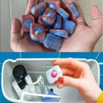 The 5 Foods With the Most Powerful Laxative Effect: Stimulate Your Intestines in Record Time