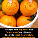 Cauliflower Meets Mushrooms – The Quick Garlic Stir-Fry!