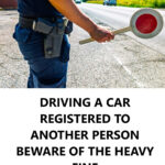 The Ultimate Guide to Apple Salad with Honeycrisp Apples, Celery, Grapes, Pecans, and Dried Cranberries