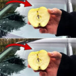 Here’s Why You Should Always Leave an Upturned Glass and a Piece of Paper in the Sink Before Going on Vacation