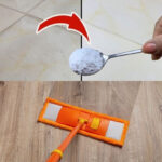 Pastry Cream (Crème Pâtissière): A Deep, Unhurried Exploration of Technique, Science, Texture, and Timeless Pleasure