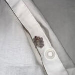 The Ring You’re Drawn to Reveals Your Deepest Trait