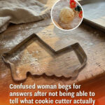 CAN YOU REALLY SEE ALL DOGS? THE OPTICAL ILLUSION THAT EXPOSES HOW YOUR BRAIN DECIDES WHAT IS REAL