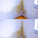 Oregano and Digestive Health: What This Powerful Herb Really Does for Your Body