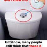 “I HAD NO IDEA” — THE PINKY RING, THE SYMBOL WOMEN ARE RECLAIMING, AND WHY THIS SMALL DETAIL QUIETLY CHANGES EVERYTHING