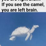 The Great Paint Debate