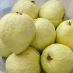 A Woman Was Born in 1975 and Died in 1975 — Yet She Was 22 Years Old: How This Paradox Is Possible