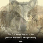 CHOOSE A RING AND DISCOVER THE KIND OF WOMAN YOU ARE: A DEEP DIVE INTO PERSONALITY, IDENTITY, AND THE QUIET LANGUAGE OF JEWELRY