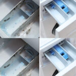 octors Reveal What Regular Ginger Consumption Causes in the Body — The Effects Most People Never Connect