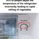 PLACE A TABLESPOON ON ANY PLANT AT HOME: THE FULL TRUTH ABOUT THIS VIRAL IDEA, WHY IT PERSISTS, AND WHAT IT REVEALS ABOUT HOW PEOPLE CARE FOR PLANTS