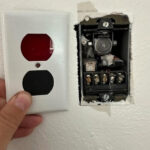 Do You See a Turtle or a Camel First? What This Optical Illusion Reveals About How Your Mind Really Works