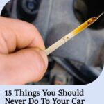 You Found This Strange Red-and-Green Plant at the Market — Here Is the Full Story of Rhubarb, the Most Misunderstood Ingredient on the Shelf