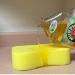 Nostradamus Predicted That Those Who Have a Cat at Home Will…