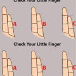 Black, Finger-Like Things in Your Mulch?