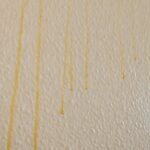 The “Small Round Hole” on the Nail Clipper Has Special and Powerful Uses