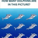 How Many Chairs Are Really There?