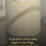 Stop Throwing Out Old Egg Cartons 🥚📦