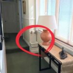 Mystery in the Garage: What Are These Stone-Like Rods?