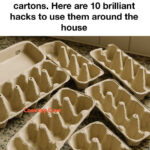 Mystery in the Garage: What Are These Stone-Like Rods?