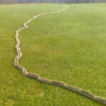 Store-Bought Mayonnaise: Why It’s Safer Than You Think